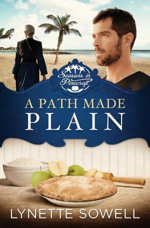 Cover of the book A Path Made Plain by Karen Barnett