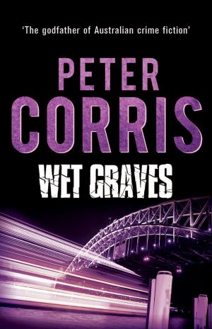 Cover of the book Wet Graves by Lee Holmes