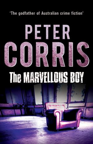 Cover of the book The Marvellous Boy by Dennis Cometti, Jon Pierik