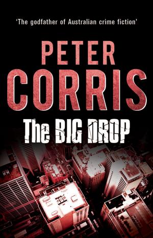 Cover of the book The Big Drop by Larry Writer