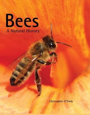 Cover of the book Bees by David Posen