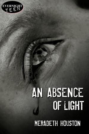 Cover of the book An Absence of Light by Kim Harnes