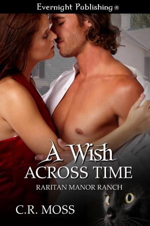 Cover of the book A Wish Across Time by Vanessa Devereaux