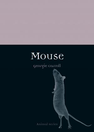 Cover of the book Mouse by Derek Sayer