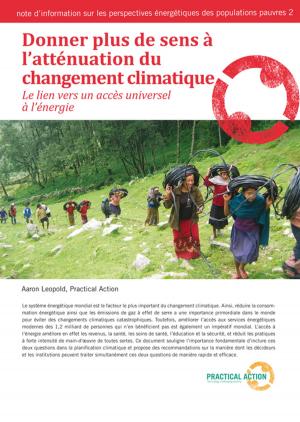 Cover of the book Donner plus de sens à l’atténuation du changement climatique by 