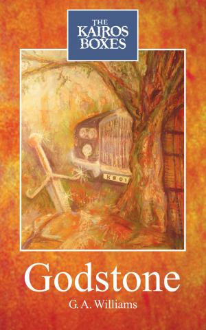 Cover of the book Godstone - The Kairos Boxes by Cathy Farr