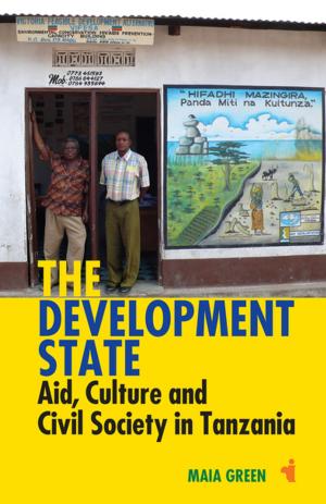 Book cover of The Development State