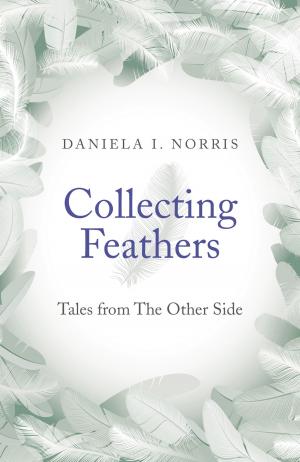 Cover of the book Collecting Feathers by Philip Duke