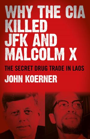 bigCover of the book Why The CIA Killed JFK and Malcolm X by 