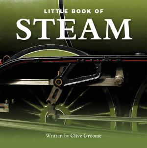 Cover of the book The Little Book of Steam by Ian Mackenzie