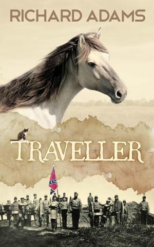 bigCover of the book Traveller by 