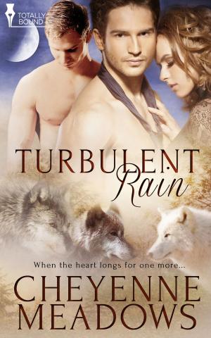 Cover of the book Turbulent Rain by Kim Dare