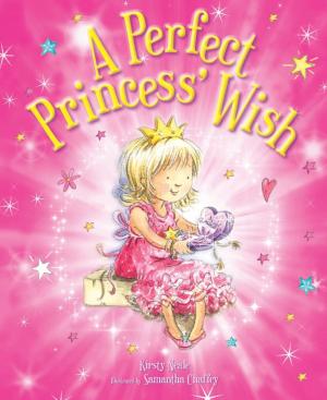 Cover of the book A Perfect Princess Wish by Aldo Ungari