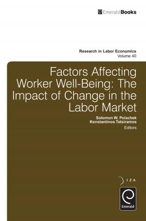 Cover of the book Factors Affecting Worker Well-Being by Alexander W. Wiseman, Emily Anderson