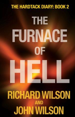 Book cover of The Furnace of Hell