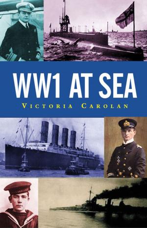 Cover of the book WW1 at Sea by Merlin Coverley