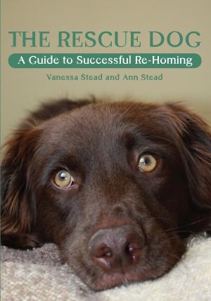 Cover of the book Rescue Dog by Julia Rai