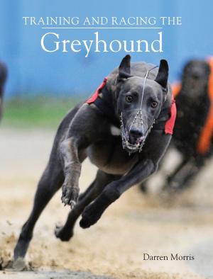 Cover of the book Training and Racing the Greyhound by Miranda Falkner, Evangelos Pourgouris