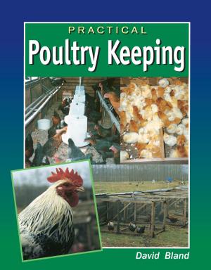 Cover of the book Practical Poultry Keeping by Chris Husbands