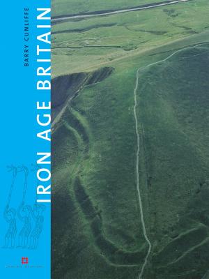 Book cover of Iron Age Britain