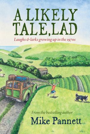 Cover of the book A Likely Tale, Lad by Mauro Arzilli