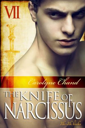 Book cover of The Knife of Narcissus Part 7