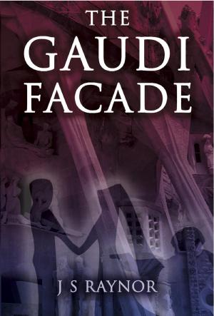 Book cover of The Gaudi Facade