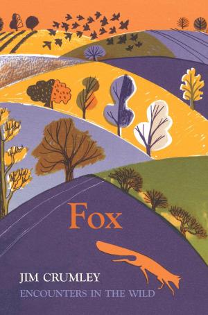 Cover of the book Fox by Catherine Czerkawska