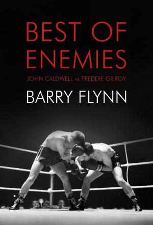 Cover of the book Best of Enemies by Maria Kaj