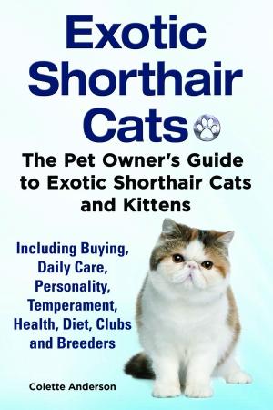 Cover of Exotic Shorthair Cats The Pet Owner’s Guide to Exotic Shorthair Cats and Kittens Including Buying, Daily Care, Personality, Temperament, Health, Diet, Clubs and Breeders