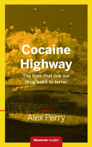 Cover of the book Cocaine Highway by Rebecca K. Rush