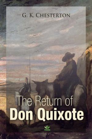 Cover of the book The Return Of Don Quixote by K. Osborn Sullivan