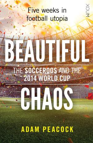 Cover of the book Beautiful Chaos by Jonathan Bales