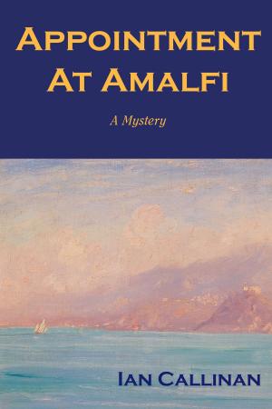 Cover of the book Appointment at Amalfi by David Jones, Peter Nunan