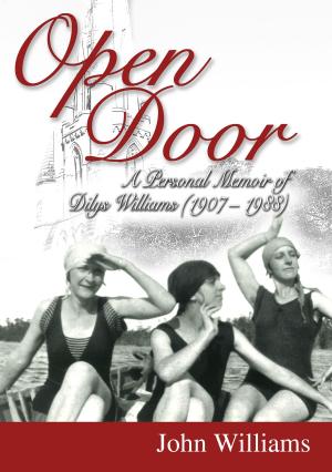 Cover of the book Open Door by Christine Parker