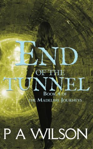 Cover of the book End Of The Tunnel by Benjamin Andrews
