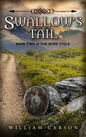 Cover of the book Swallow's Tail by BJ Neblett