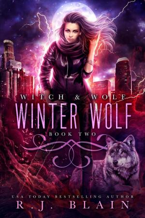 Cover of the book Winter Wolf by RJ Blain