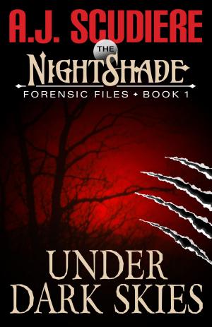 Book cover of Under Dark Skies