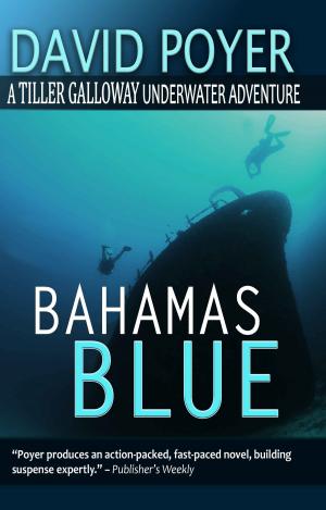 Book cover of BAHAMAS BLUE