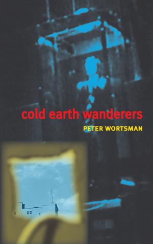 Cover of the book Cold Earth Wanderers by Jo Scott-Coe