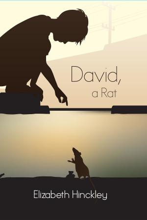 Cover of the book David, a Rat by C.E. Murphy