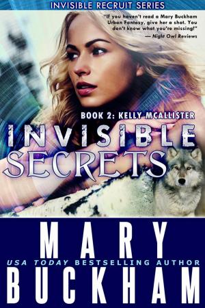 Book cover of Invisible Secrets Book 2: Kelly McAllister