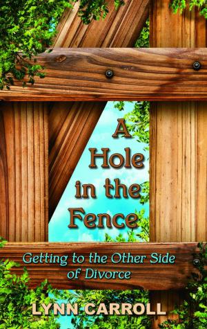 Cover of the book A Hole in the Fence by Jannis Hibberts, Judy Johnson