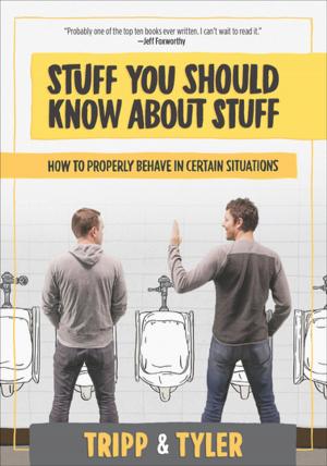 Cover of the book Stuff You Should Know About Stuff by Dorothy J. Wilhelm