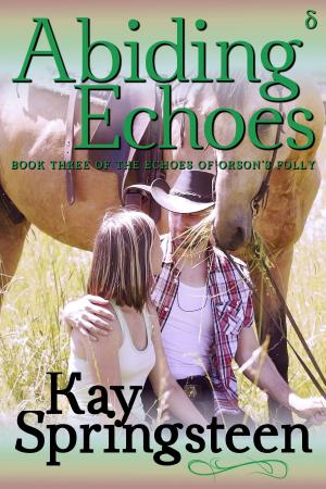 Book cover of Abiding Echoes