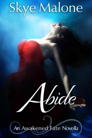 Cover of the book Abide by Skye Malone, Megan Joel Peterson