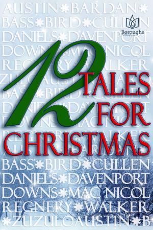 Cover of the book 12 Tales of Christmas by Alexandra Wright