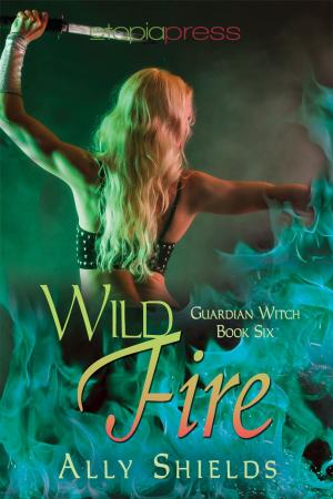 Cover of the book Wild Fire by A. J. Locke