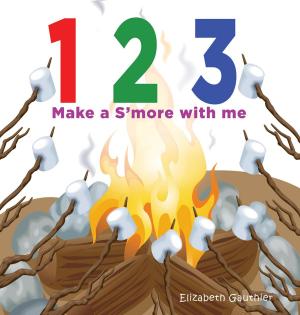 bigCover of the book 1 2 3 Make a s'more with me by 